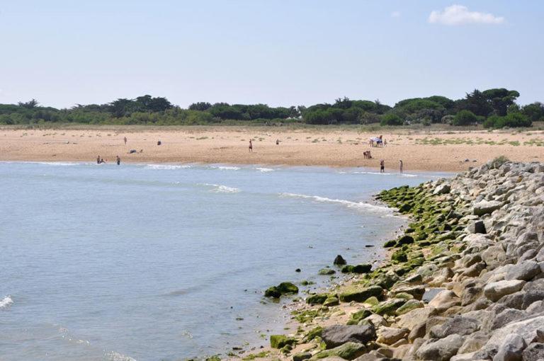 A 80M De La Plage De Plaisance Pour 8 Personnes Saint-Georges-d'Oleron Εξωτερικό φωτογραφία
